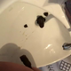 A very cute girl squats with her ass over a bathroom sink and shits into it. We get a good look at the turds in the sink. Vertical format video. About a minute.